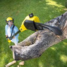 Fort Meade, FL Tree Services Company